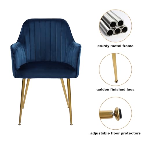 2 Blue Velvet Dining Chairs with Gold Legs for Living Room