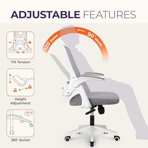 Ergonomic Mesh Office Chair with Lumbar Support, Grey