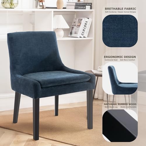 Modern Blue Dining Chair Set of 2