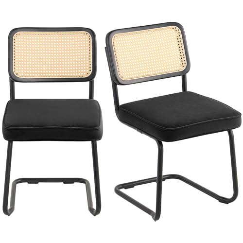 Mid Century Modern Rattan Chairs Set of 2