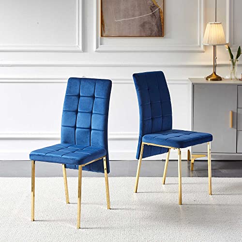 4-Piece Navy Blue Velvet Dining Chair Set with Golden Legs