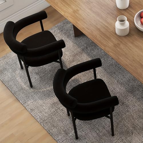 Modern Black Kitchen Chairs Set of 2 for Dining Room