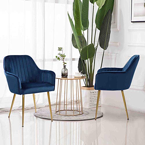 2 Blue Velvet Dining Chairs with Gold Legs for Living Room