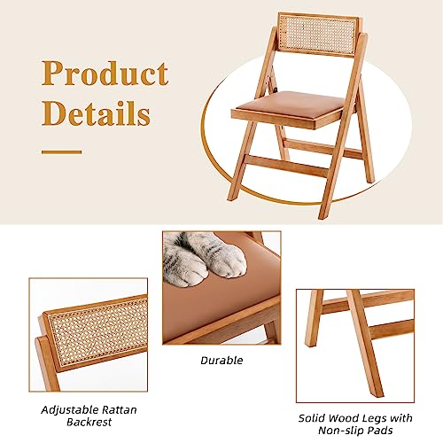 Mid-Century Modern Brown Rattan Dining Chair Set (2)